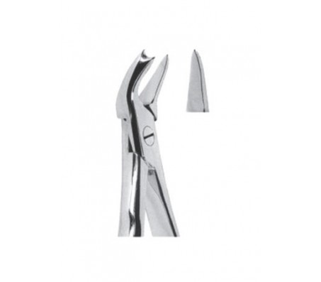 Extracting Forceps